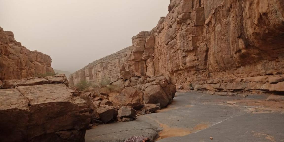 Auberge Dinosaur Sahara Maroc Tafraoute Sidi Ali Bagian luar foto