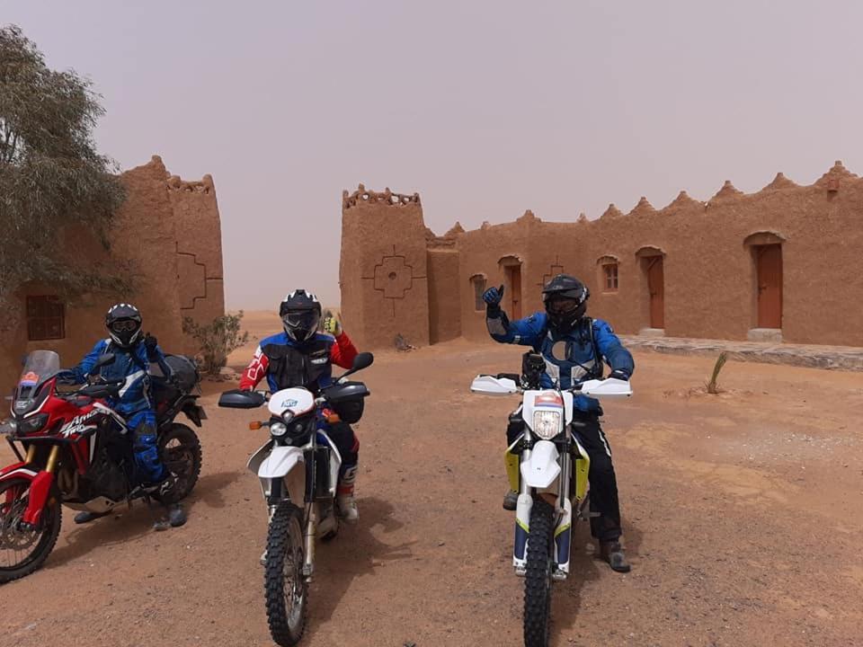 Auberge Dinosaur Sahara Maroc Tafraoute Sidi Ali Bagian luar foto