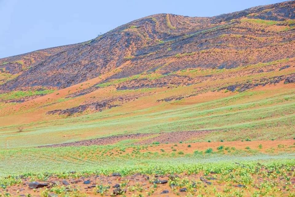 Auberge Dinosaur Sahara Maroc Tafraoute Sidi Ali Bagian luar foto