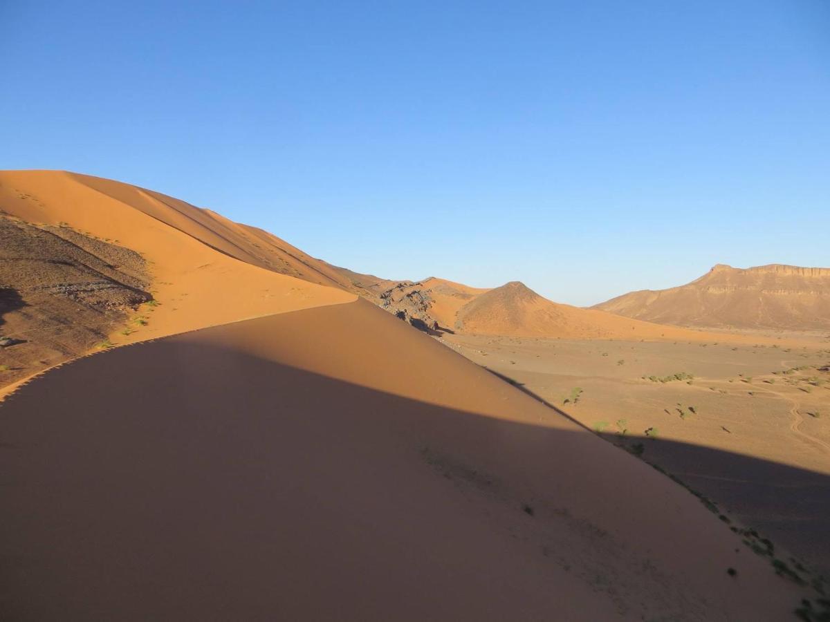Auberge Dinosaur Sahara Maroc Tafraoute Sidi Ali Bagian luar foto