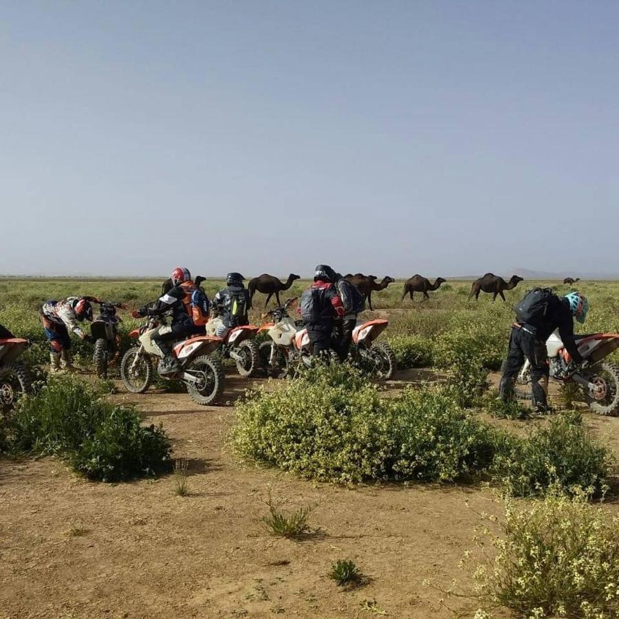 Auberge Dinosaur Sahara Maroc Tafraoute Sidi Ali Bagian luar foto