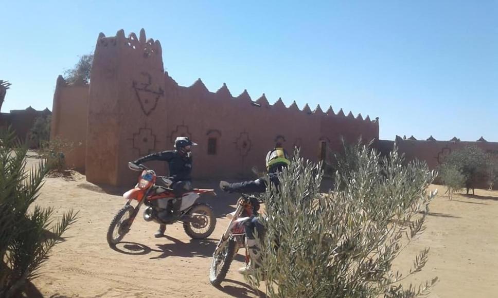 Auberge Dinosaur Sahara Maroc Tafraoute Sidi Ali Bagian luar foto