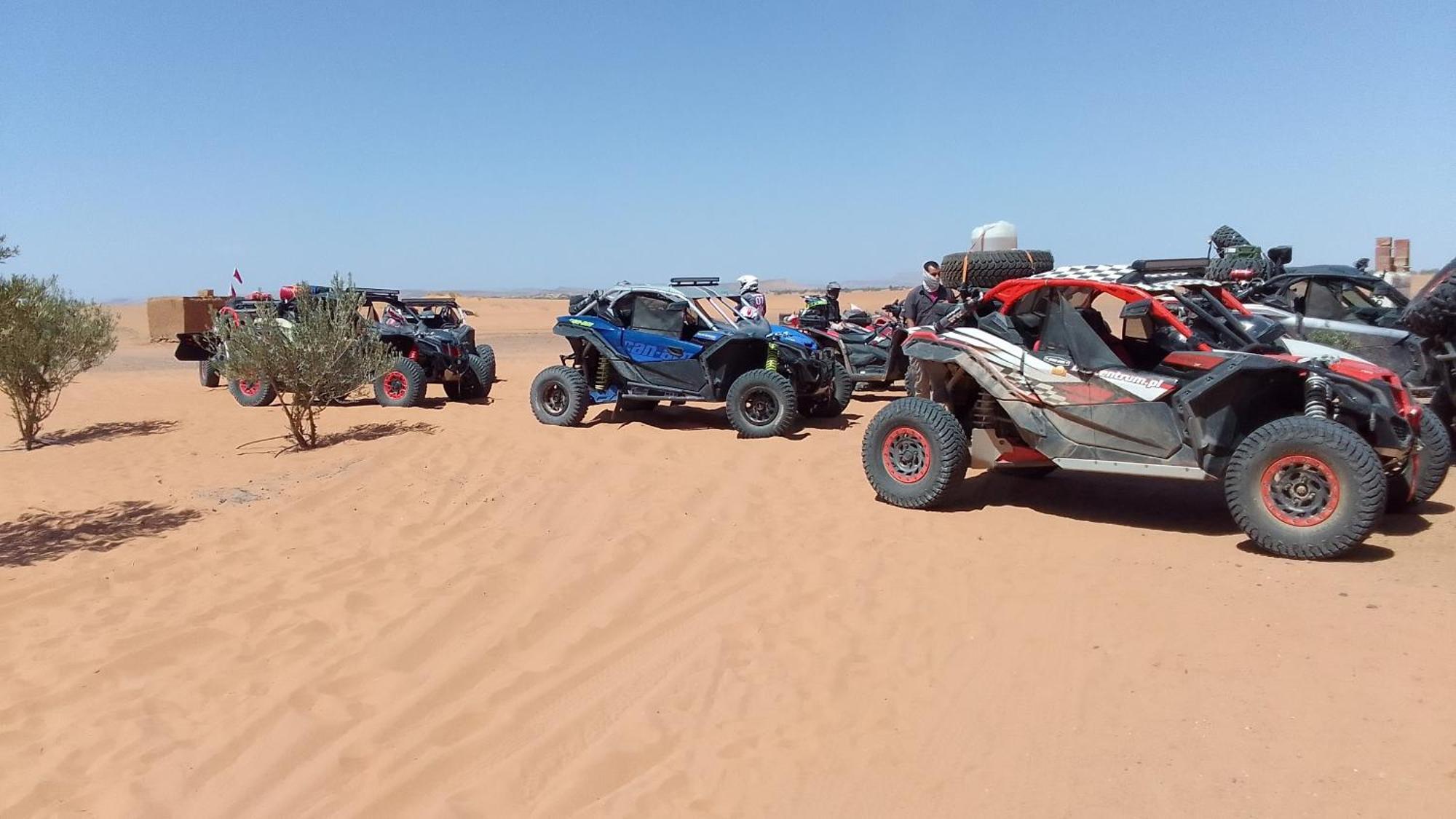 Auberge Dinosaur Sahara Maroc Tafraoute Sidi Ali Bagian luar foto