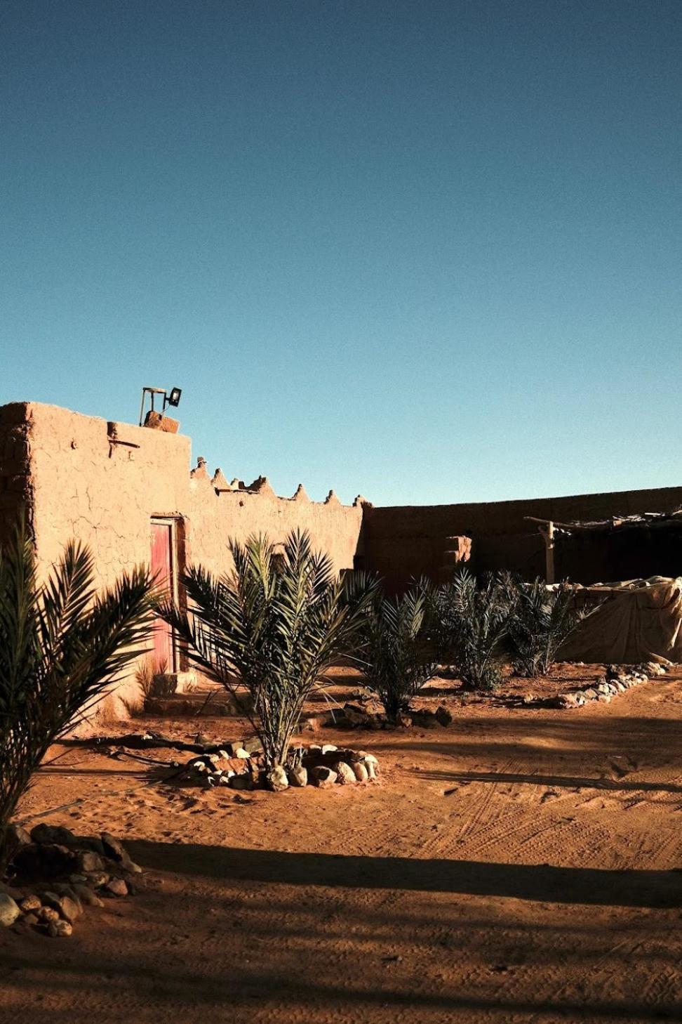 Auberge Dinosaur Sahara Maroc Tafraoute Sidi Ali Bagian luar foto