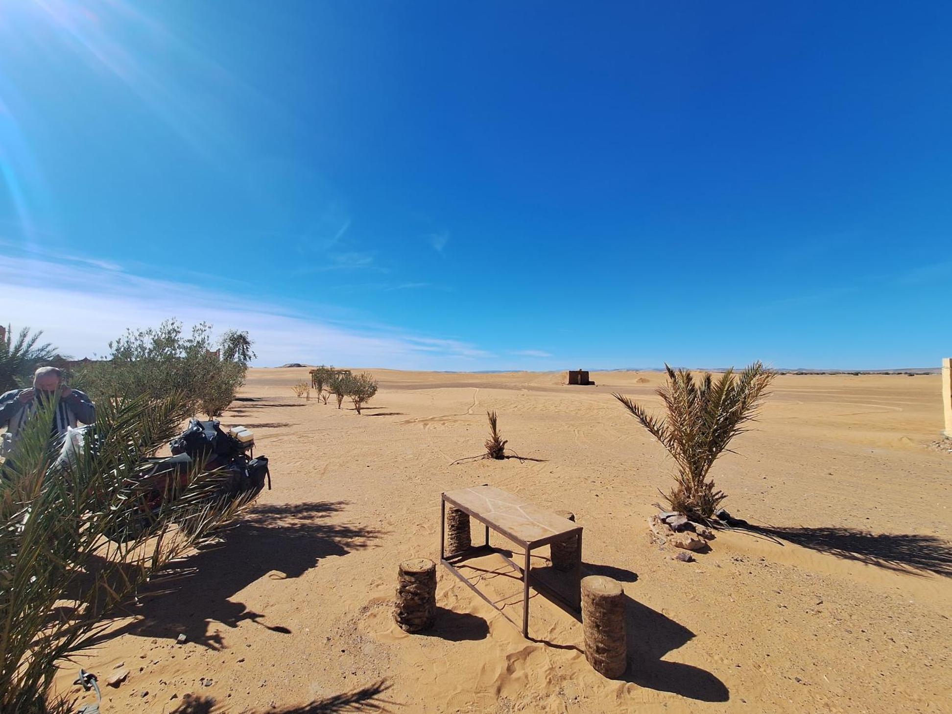 Auberge Dinosaur Sahara Maroc Tafraoute Sidi Ali Bagian luar foto
