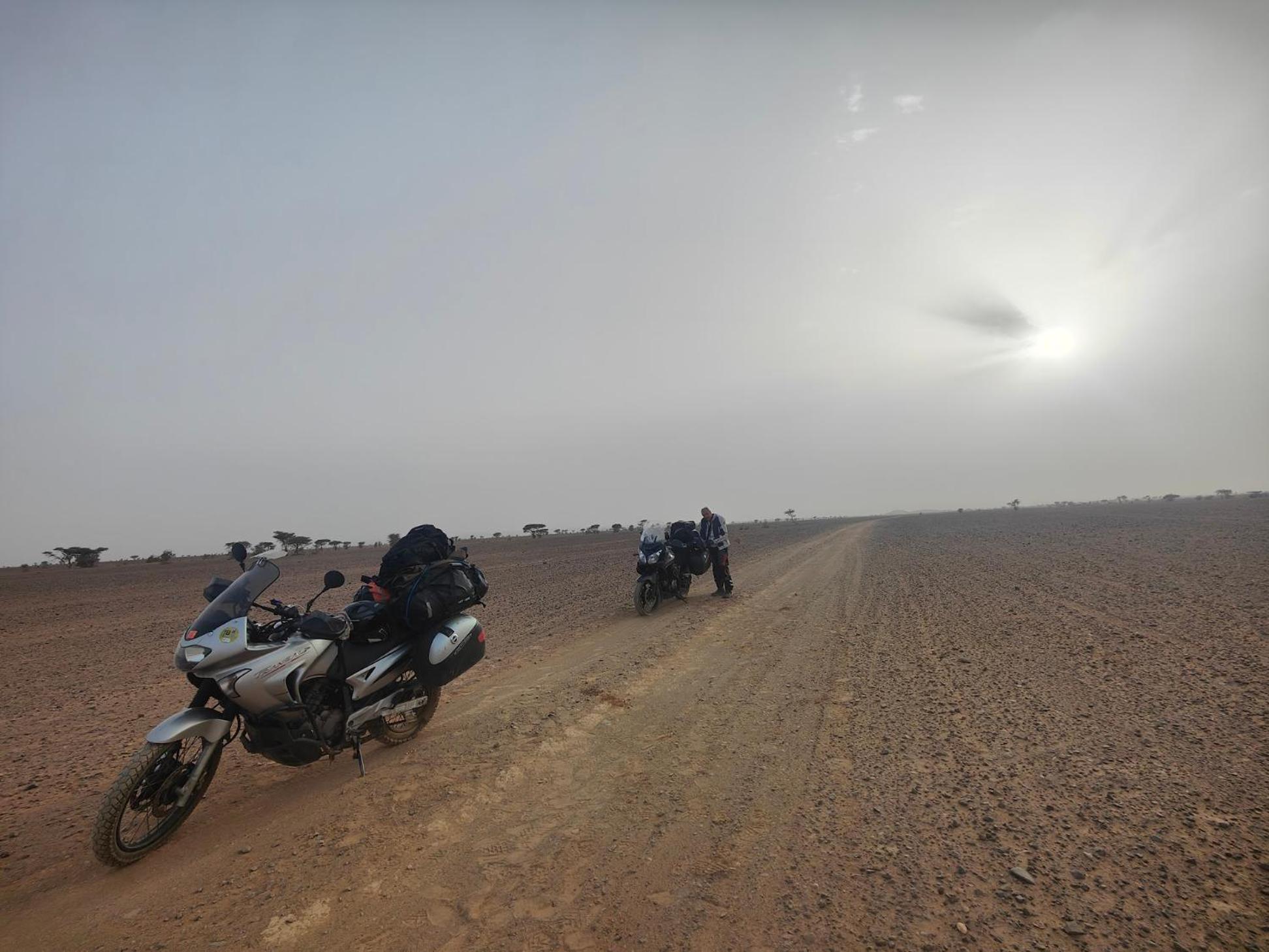 Auberge Dinosaur Sahara Maroc Tafraoute Sidi Ali Bagian luar foto